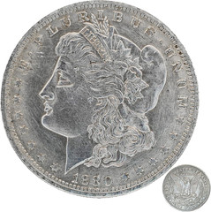 1880 Liberty of the Americas Peace Coin Replica Set Exquisite Relief Design Suit
