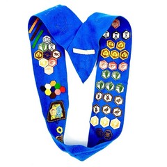 Vintage LDS Mormon Young Women MIA Blue Felt Sash Honor Bee 1950’s Leadership