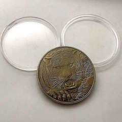 40mm Retro Brass Dragon Tiger Relief Coin Desktop Art Collectible Decoration
